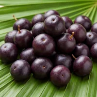 Acai Berry Extract